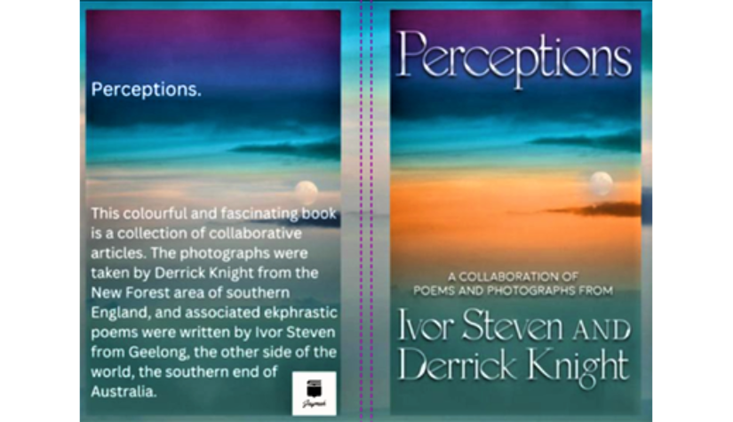Perceptions, meet the Photographer and the Poet